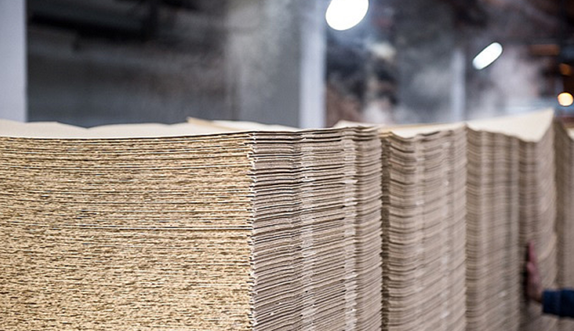 Shandong Rizhao Pulpam Project